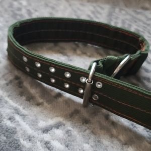 Forest Green/Military Green Tactical Dog Collar